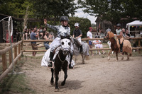 cours d'equitation